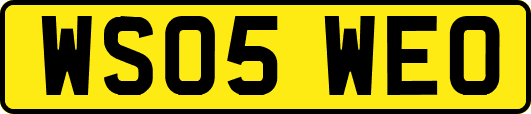 WS05WEO