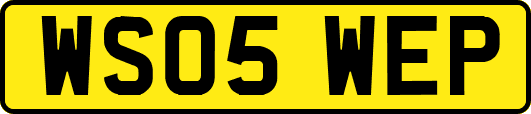 WS05WEP
