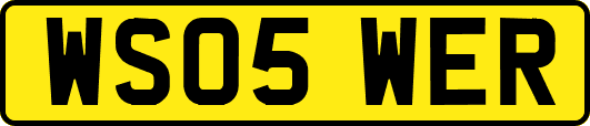 WS05WER