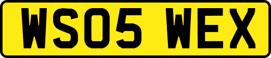 WS05WEX