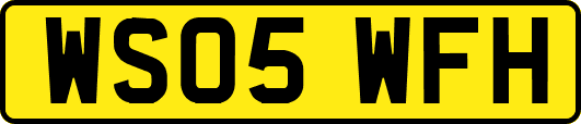 WS05WFH