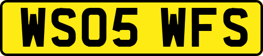 WS05WFS