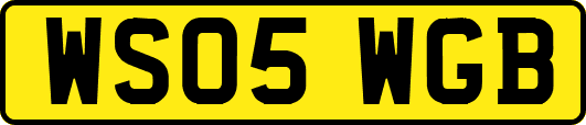 WS05WGB