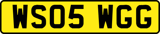 WS05WGG