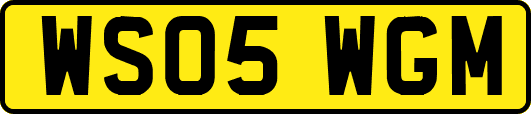 WS05WGM