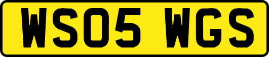 WS05WGS
