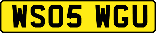 WS05WGU