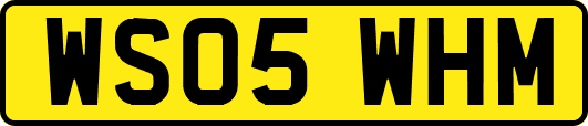 WS05WHM