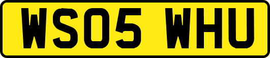 WS05WHU