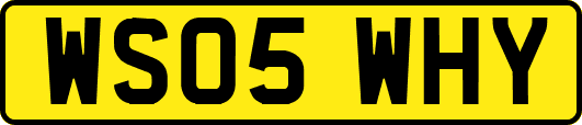 WS05WHY