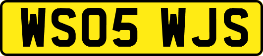 WS05WJS