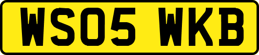 WS05WKB