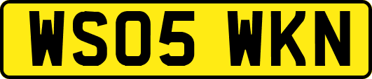 WS05WKN