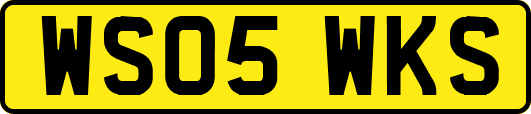WS05WKS