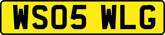 WS05WLG