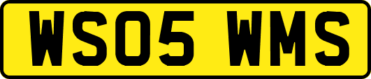 WS05WMS
