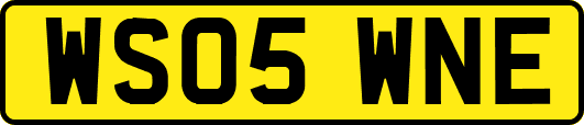 WS05WNE