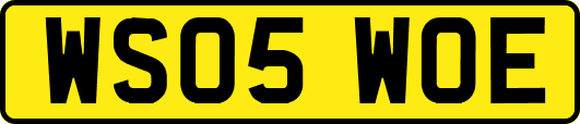 WS05WOE