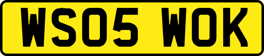 WS05WOK