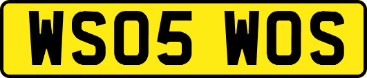 WS05WOS