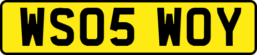 WS05WOY