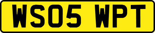 WS05WPT