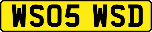 WS05WSD