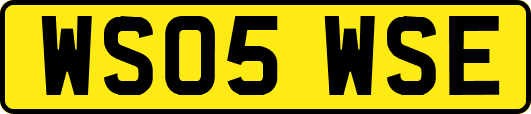 WS05WSE