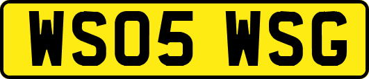 WS05WSG