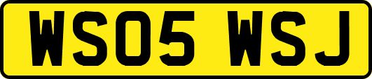 WS05WSJ