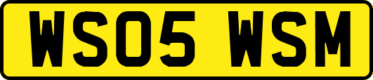 WS05WSM