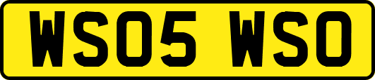 WS05WSO