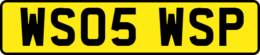 WS05WSP
