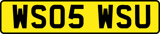WS05WSU