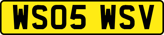 WS05WSV