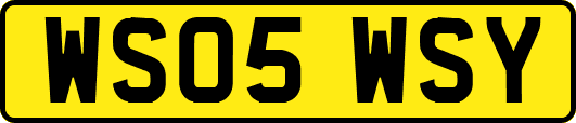 WS05WSY