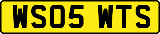 WS05WTS