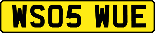WS05WUE