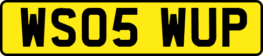 WS05WUP