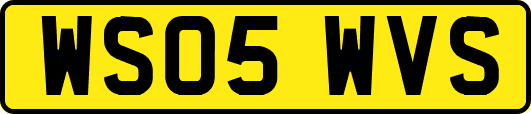 WS05WVS