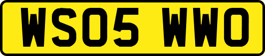 WS05WWO