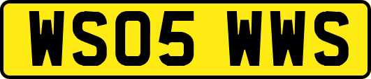 WS05WWS