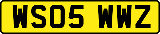 WS05WWZ