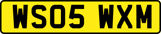 WS05WXM