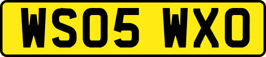 WS05WXO