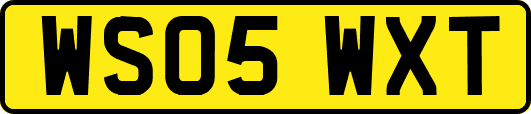 WS05WXT