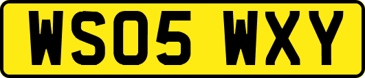 WS05WXY
