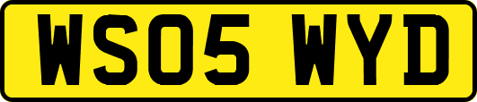 WS05WYD