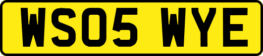 WS05WYE