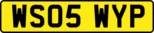 WS05WYP